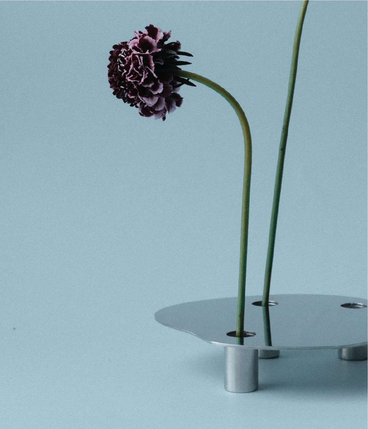 FLORERO POND - MEDIUM