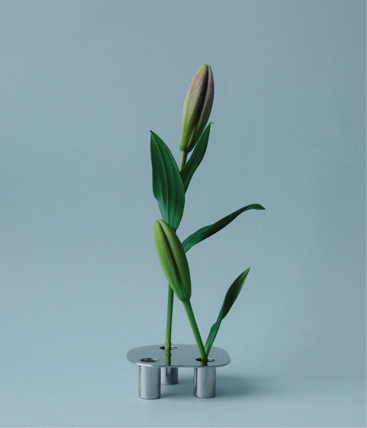 FLORERO POND - SMALL