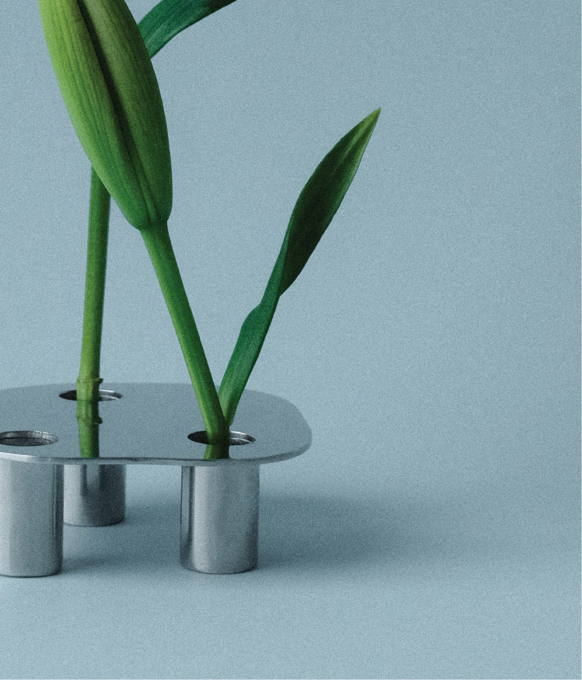FLORERO POND - SMALL
