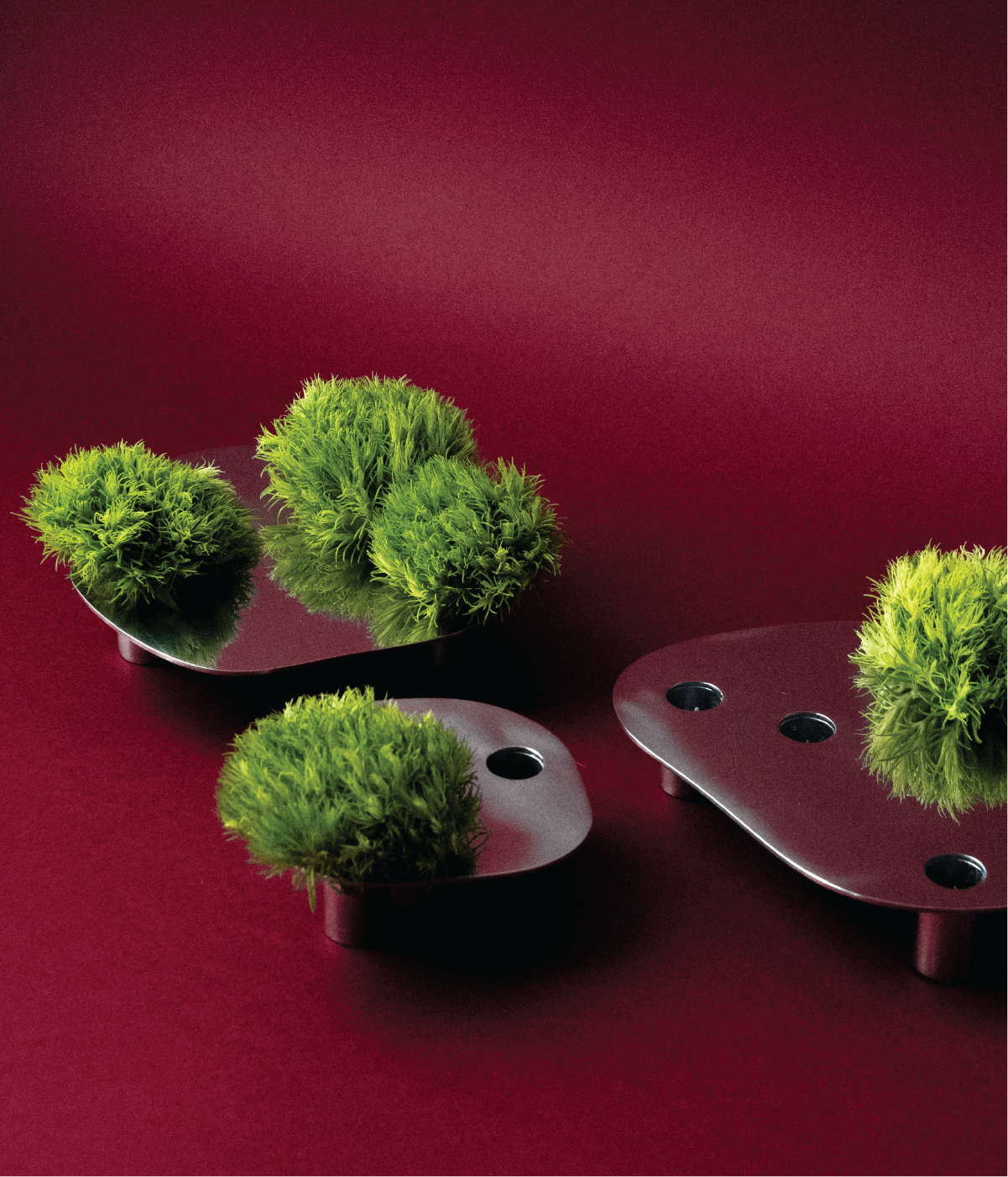 FLORERO POND - SMALL