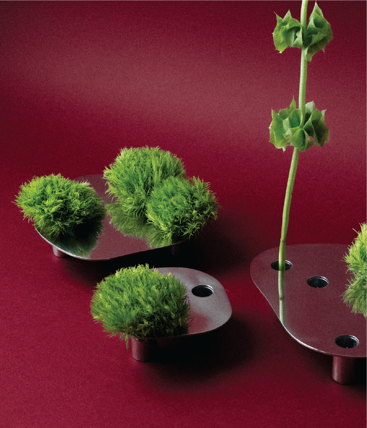FLORERO POND - MEDIUM
