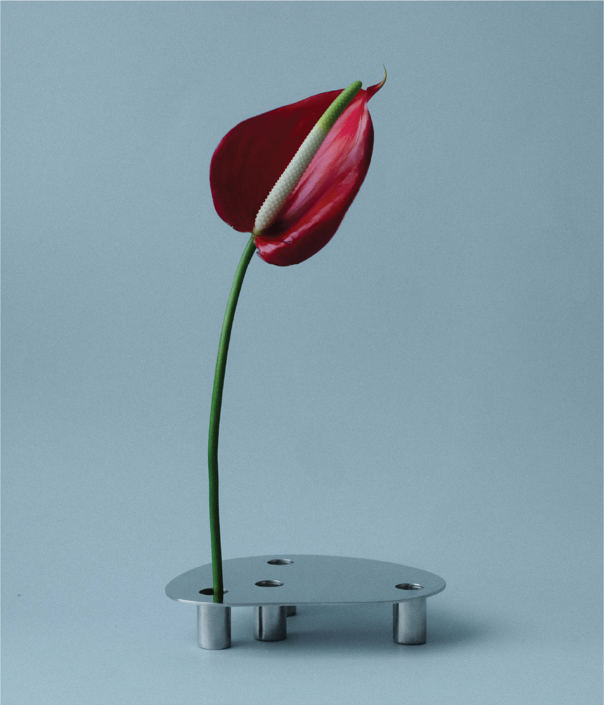 FLORERO POND - LARGE